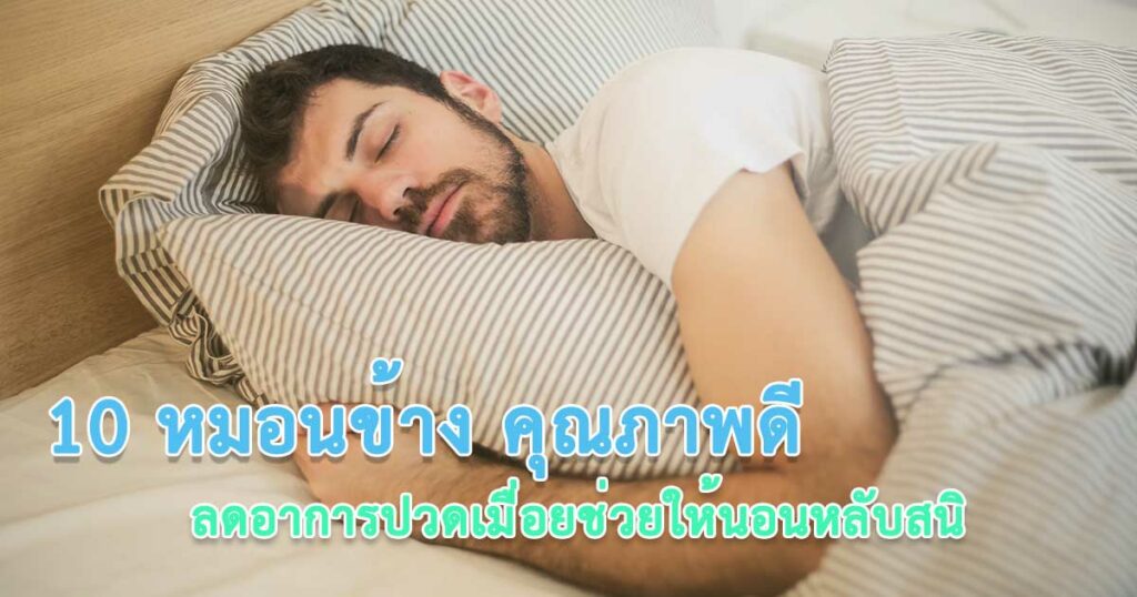 หมอนข้าง ยี่ห้อไหนดี