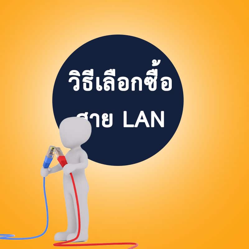 วิธีเลือกซื้อสายแลน
